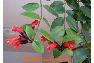 �ں������ôǤ��ͼ�� �ں������ô��