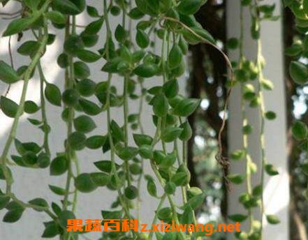 ����ݵ�����ô��ֳ ����ݵ�������ֳ����