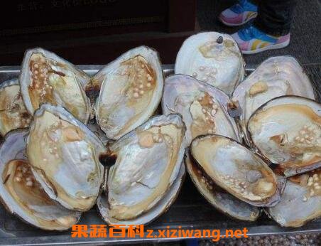 �Ӱ���ôϴ�ɾ� ��ϴ�Ӱ��ļ���