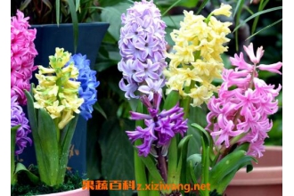 ��������ô�� �����ӵ���ֳ����