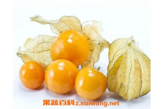 ��������ҩ�ü�ֵ�빦Ч����