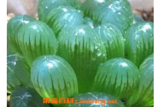 ������¶����ֳ������ע������