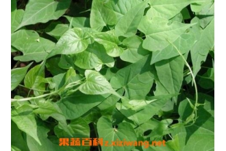 �ʵĺ������ٵĹ�Ч������