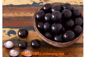 �䱦���ܳ��� �䱦����ô��