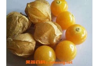 �Ὤ����ô�� �Ὤ���Ĺ�Ч������