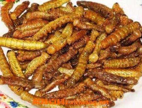 �����Ӫ����ֵ�빦Ч �����ʳ�÷���