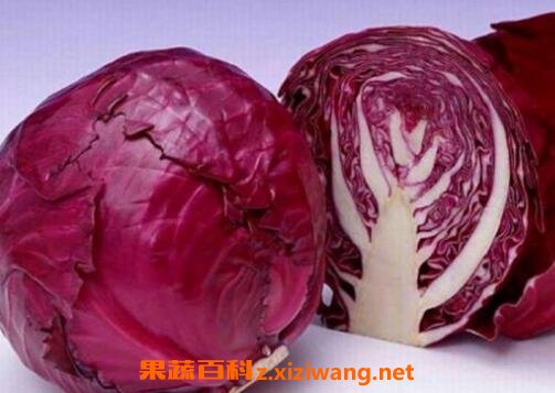 �Ͼ��Ĳ���ʲô��� �Ͼ��Ĳ˴���ʲôʳ�ĺ�