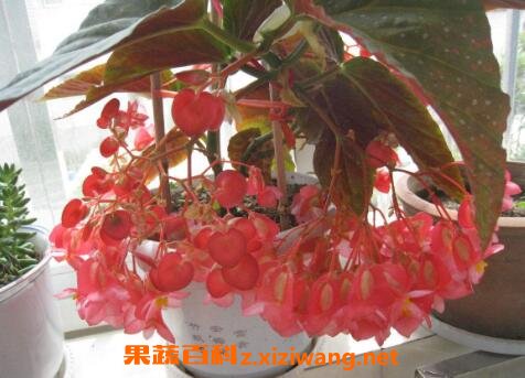 ��ں��Ļ�����ֳ������ע����������Щ
