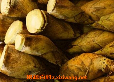 ���ڱ��涬��ķ���