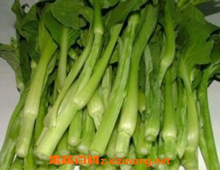 白油菜苔的功效和营养价值 蔬菜知识 做法 功效与作用 营养价值www Asqxzs Com
