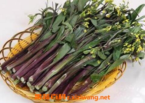 红菜苔的营养价值与功效