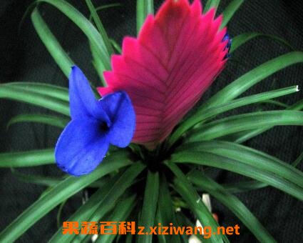 �ϻ��������ֳ������ע������