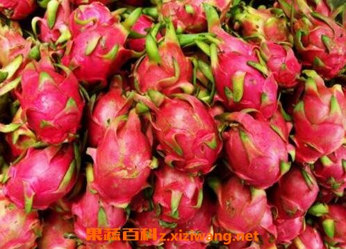 ��Ѫ���ܳԻ������� ��Щ�˲��ܳԻ�����