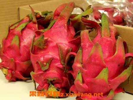 ��Ѫ���ܳԻ������� ��Щ�˲��ܳԻ�����