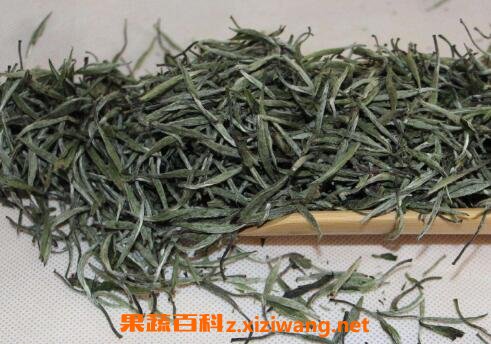 明前安吉白茶的功效和保存方法