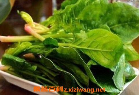 �и��ܳԲ����� �и��Բ��˵ĺô��ͻ���