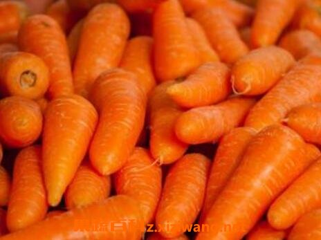 ���ܲ���֥��Ĺ�Ч������