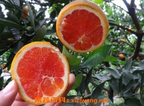 �ϳ��ӵĹ�Ч������