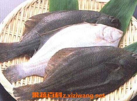 ѻƬ���Ӫ����ֵ����Ч
