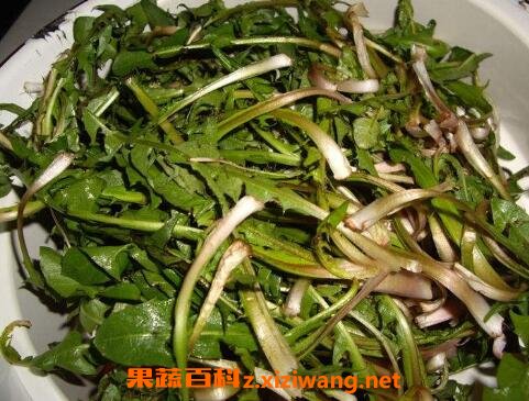 �ߴ����ѹ�Ӣ�Ĺ�Ч������