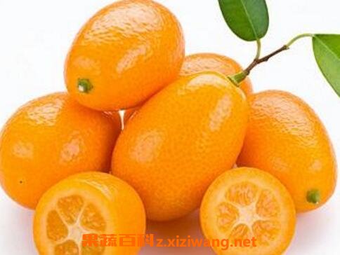 ��ҩ����ӵ������빦Ч