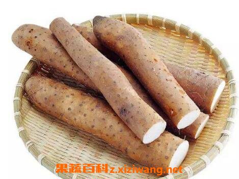 ɽҩ������ô�� ɽҩ���ֵĽ������