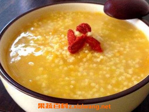 ��θ������� ��θ�����������̳�