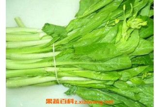 �ײ�̦�ͺ��̦�Ĺ�Ч