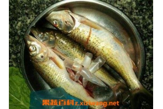 ������Ĺ�ЧӪ����ҩ�ü�ֵ