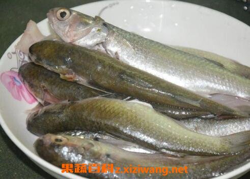 ������Ĺ�Ч������