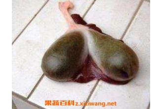 �㵨�Ĺ�Ч����� �㵨�ж���ô��