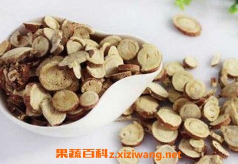 ���ʲݵ������빦Ч��ʳ�÷���