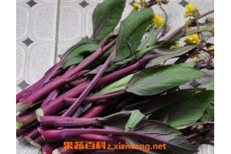 ��̦��γ��ڱ��� ��̦�ı��淽������
