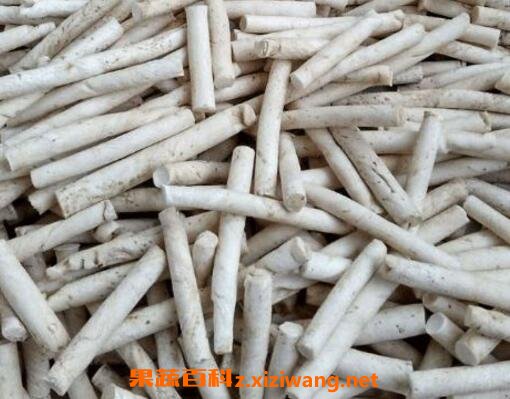 通草的功效与作用及食用方法