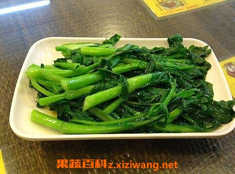菜苔和...... <a href=