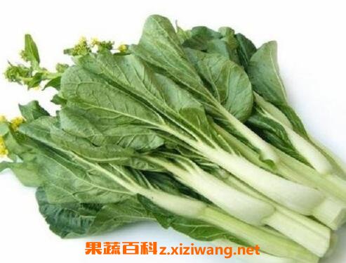 ��ײ�̦�Ĺ�Ч������