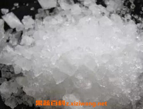 �����Ĺ�Ч�����ü�ҩ�ü�ֵ