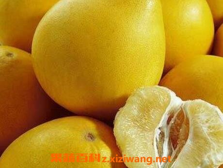 �����ӵĺô���ע������