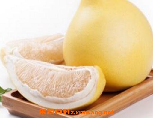 �����ӵĺô���ע������