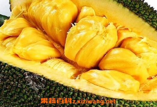 ��������ô�� �Բ�������ʲô����