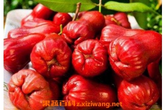 ������γ� ������ô��ͼ�ⷨ