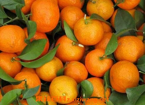 �Ϸ�ۺ�ɳ�ǽ۵����� ��ô��ѡɳ�ǽ�