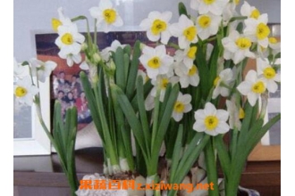 ˮ�ɻ������ֳ ��ֳˮ�ɻ��ķ�������