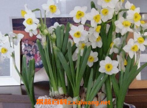 ˮ�ɻ������ֳ����