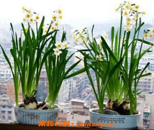 ˮ�ɻ������ֳ����