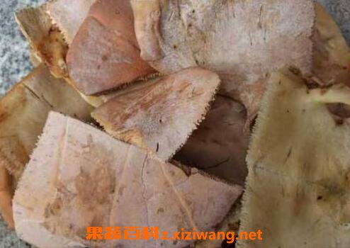 ��彺�Ĺ�Ч������