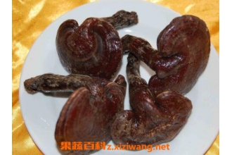 ����֥��ô��Ч����� ����֥��ʳ�÷���