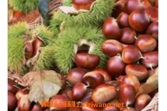 ������α��� ��������ô����ʱ�䳤