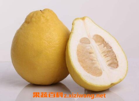 �����ӵĺô�����Щ �����ӵĻ���