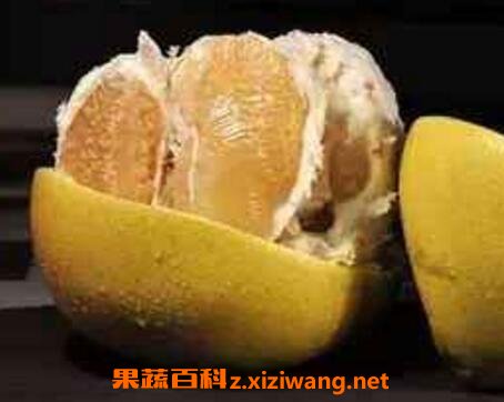 �����ӵĺô�����Щ �����ӵĻ���